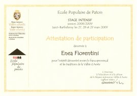 L’Attestato per la partecipazione al -Bain de Patois- a Saint-Barthélemy 2009 (13208 bytes)